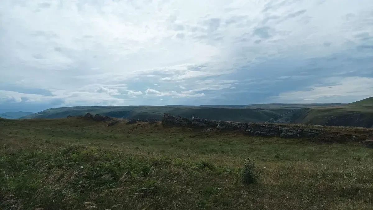 Роспотребнадзор предупреждает ставропольцев о второй волне активности клещей