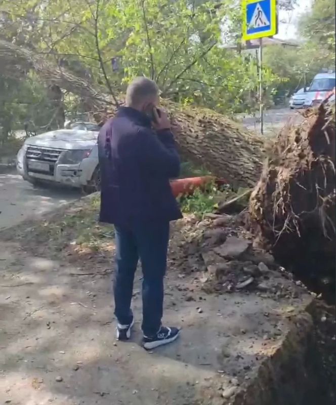 «Карма настигла молниеносно»: в Пятигорске поврежденное коммунальщиками дерево упало на автомобиль работника