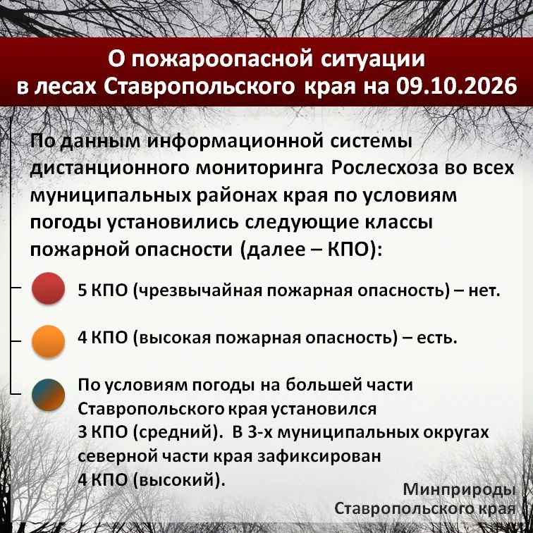 По данным информационной системы дистанционного мониторинга Рослесхоза по состоянию на 09.10.2026 на большей части Ставропольского края установился 3 класс пожарной опасности (средний)