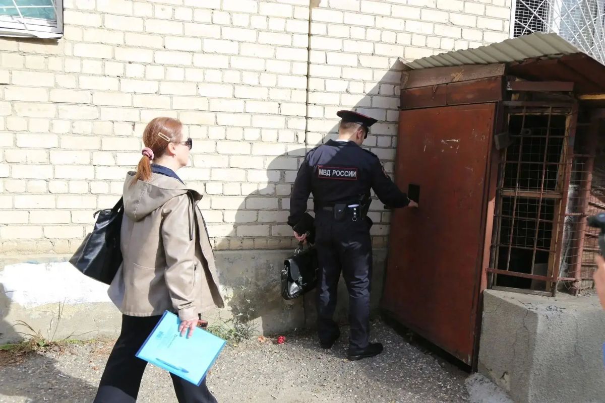 Cотрудники комитета труда и социальной защиты населения администрации Ставрополя совместно с сотрудниками МВД провели рейд по выявлению людей без определённого места жительства Cотрудники комитета труда и социальной защиты населения администрации Ставрополя совместно с сотрудниками МВД провели рейд по выявлению людей без определённого места жительства