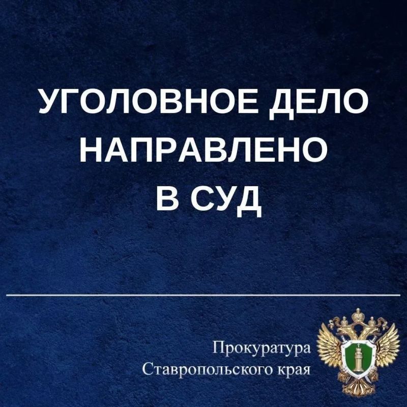 Женщина предстанет перед судом за причинение смерти своей внучке