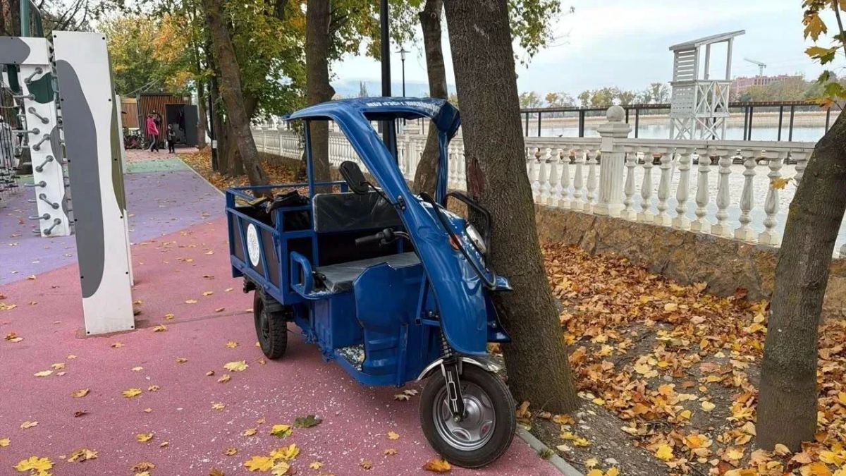 Шестилетняя девочка села в электротележку и на ней же влетела в дерево в Кисловодске