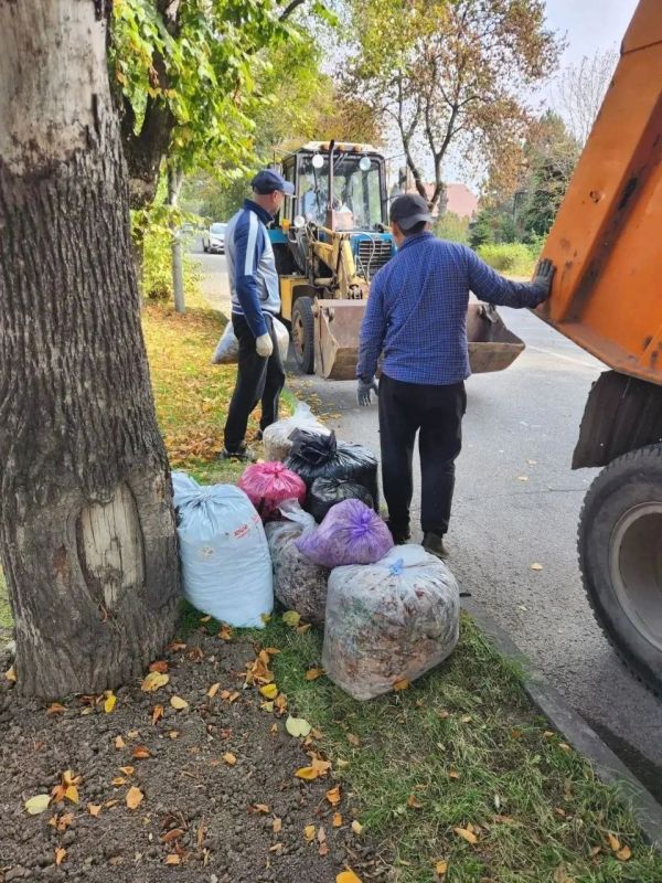 В Ессентуках после общегородского субботника вывезли более 200 кубометров листвы и мусора В Ессентуках после общегородского субботника вывезли более 200 кубометров листвы и мусора