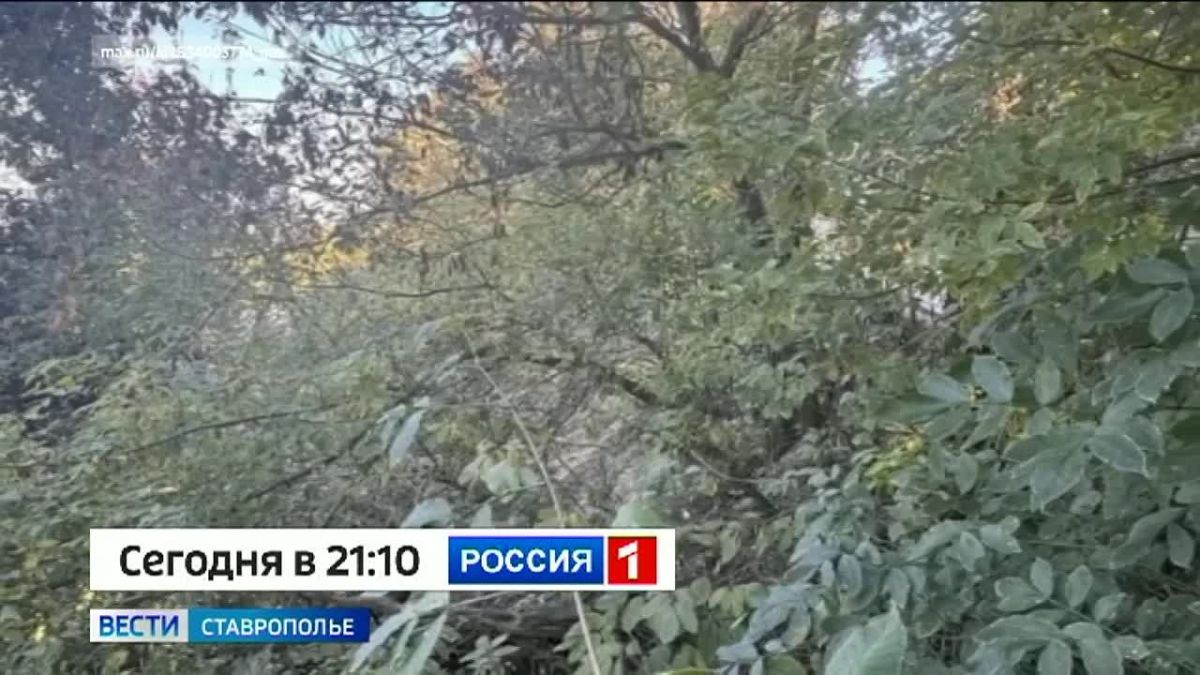Оползень на улице Подгорной в Ставрополе: что сейчас происходит на месте