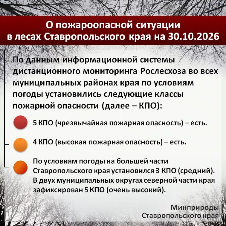 По данным информационной системы дистанционного мониторинга Рослесхоза по состоянию на 30.10.2026 на большей части Ставропольского края установился 3 класс пожарной опасности (средний)