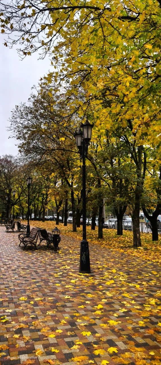 Доброе утро, Ставрополь!. В ближайшие пару дней в городе воздух прогреется до 18 градусов выше ноля, в субботу синоптики обещают слабый дождь , в воскресенье - без существенных осадков