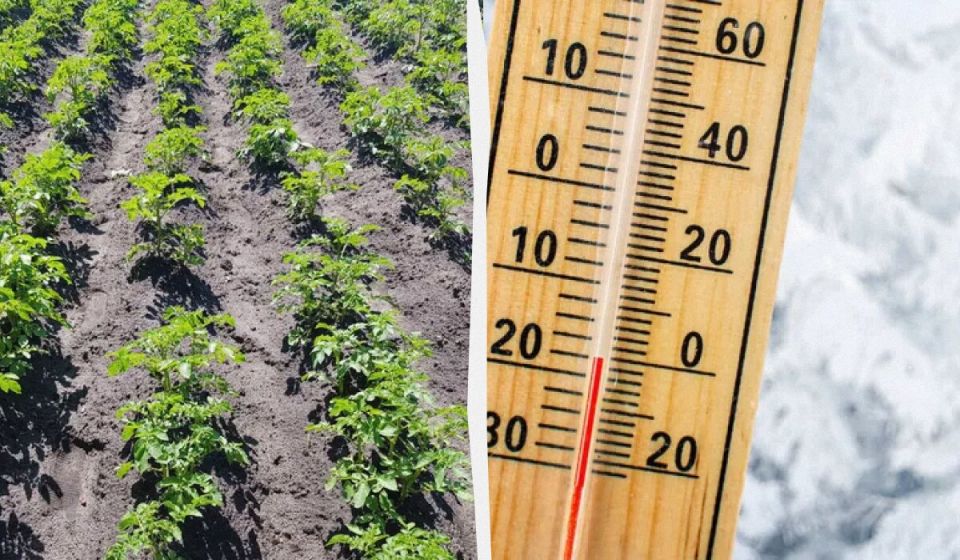 ��� ������ ��������� �� ����������: ����������� ������ ��������������