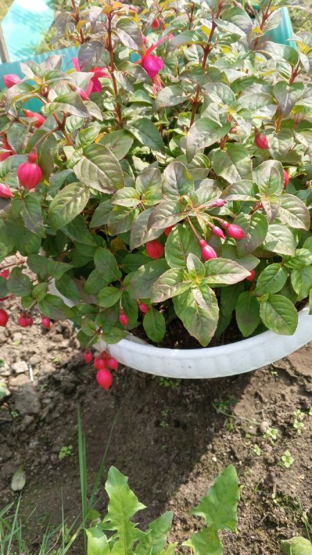 Как отпустить прошлое и embrace будущее: уроки жизни