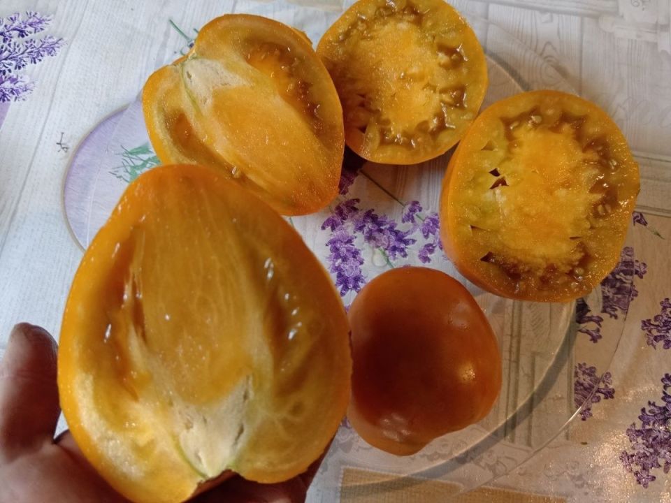 Томаты нового поколения: раскройте тайны сорта «Суровая дыня Поволжья»