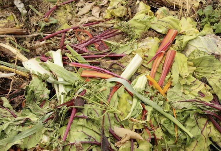 Как эффективно использовать ботву от овощей: пять практичных идей для вашего огорода