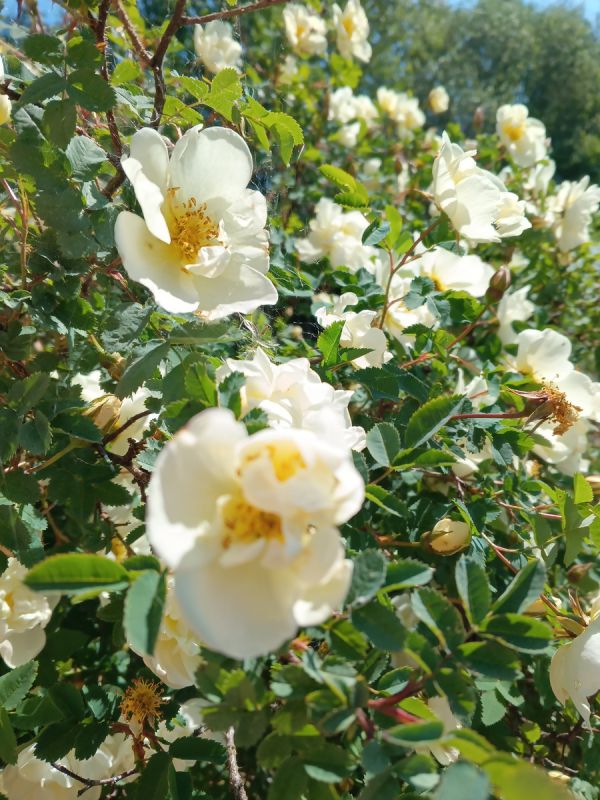 Путешествие в белорусские глубинки: советы и рекомендации для туристов