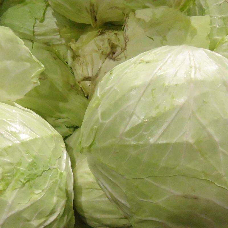 Как правильно хранить капусту: секреты долгого сохранения