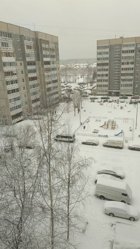 ������ ������������: ��� ���� � ����� ���������� ���� � �������