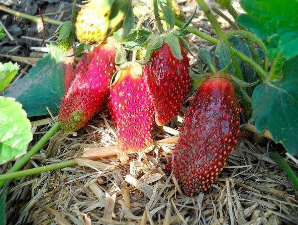 ����������: ����� �������������� ����� � �� ������������