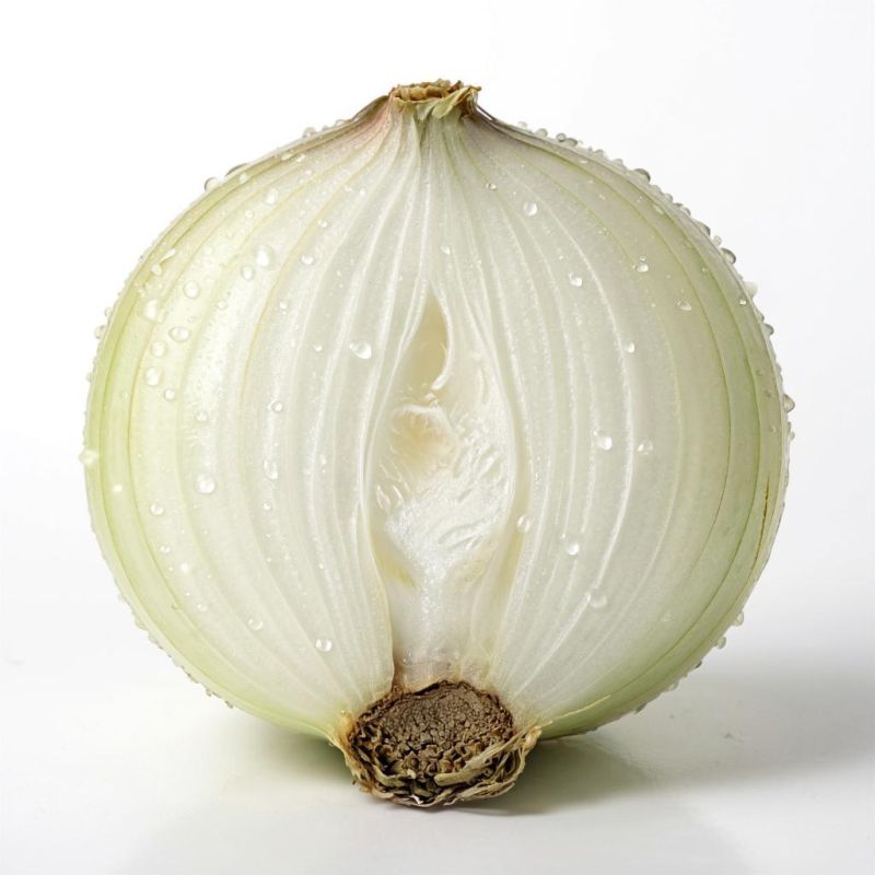 ��� �������� ������� ����� ����: ������ �� �������� � �����