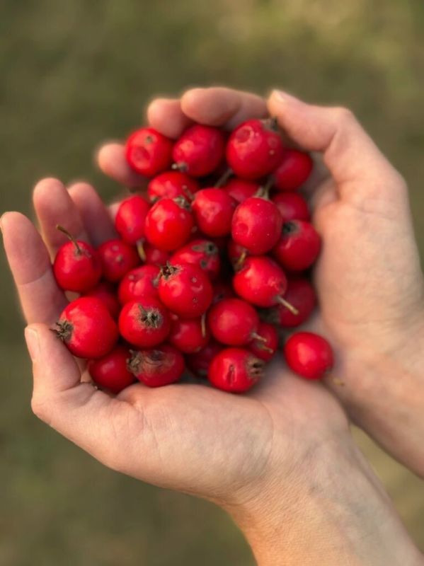 �������� ���������� ������������ ���������: ������� ����� � �������