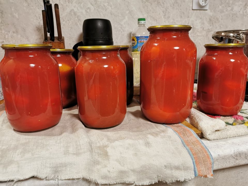 ������ � ����������� ����: �������� ��������� ��� ������