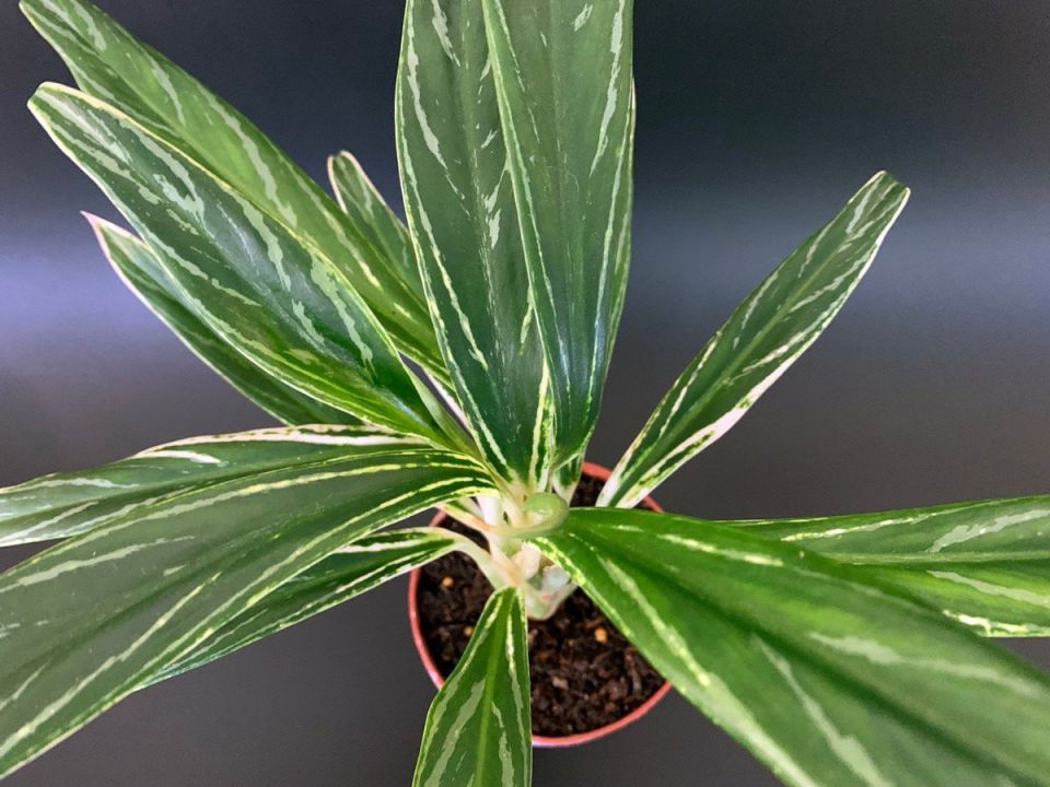 ���������: ��������� ����� ��� ������ ��������� � ������ �� �����