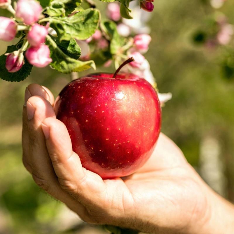 �������� � ������ �����: ��� ������� ������ ����� ����� ��� ������ �����