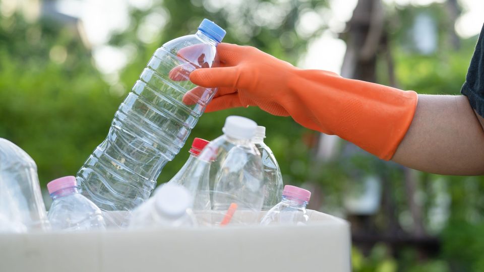 ����� ������� �� ����������� ������ �������: ���������� ����� �� ��� ������