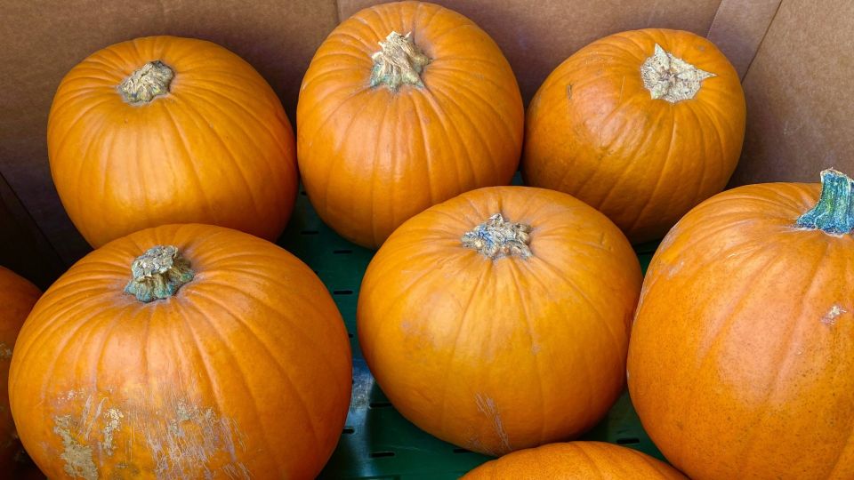 �� ������� � �� ������: ��� ��� ������ �� ���� �� ����� ����������� �������