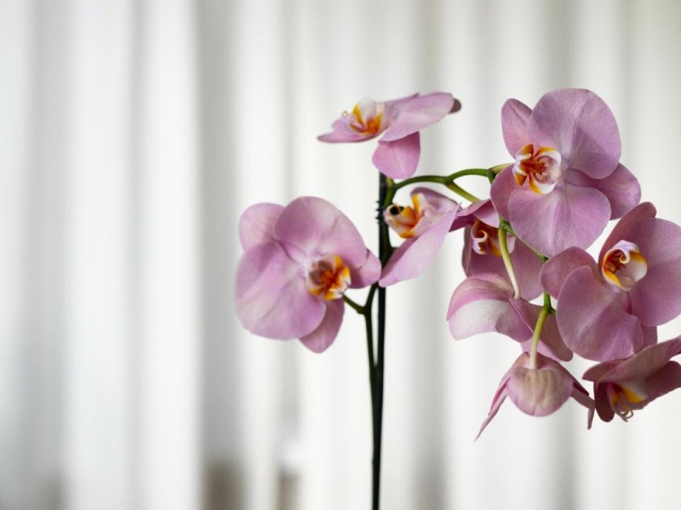 ��� ���������� ����� ����� �������� � ������� �������� �������