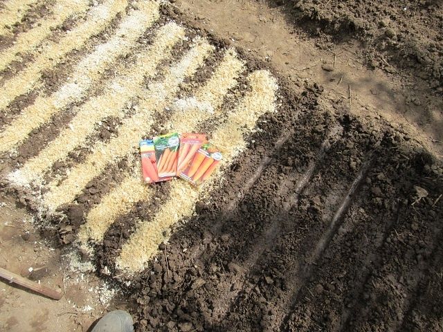 ���������� ����� ������� � �������: ������ � �������