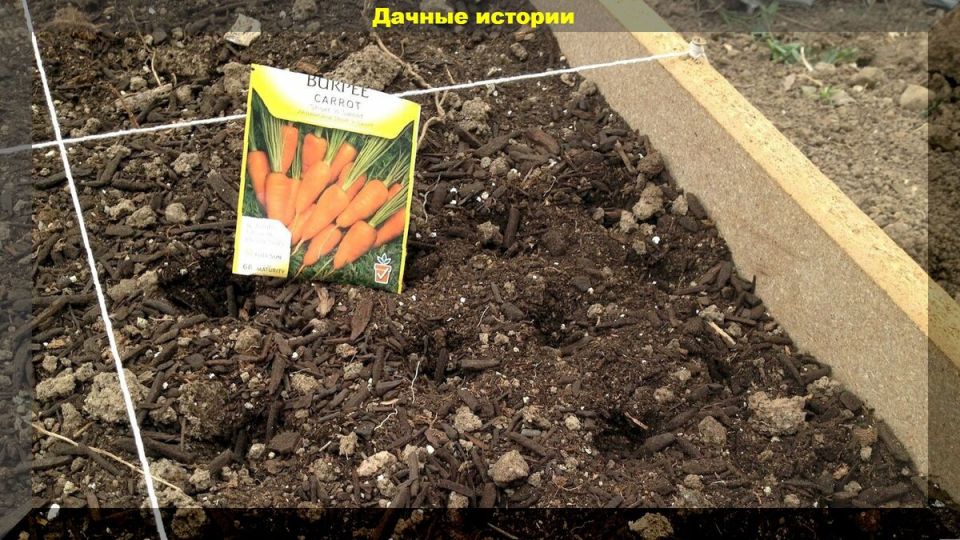 ��� ��������� ���������� �������: ������������ ��� ��������� ������