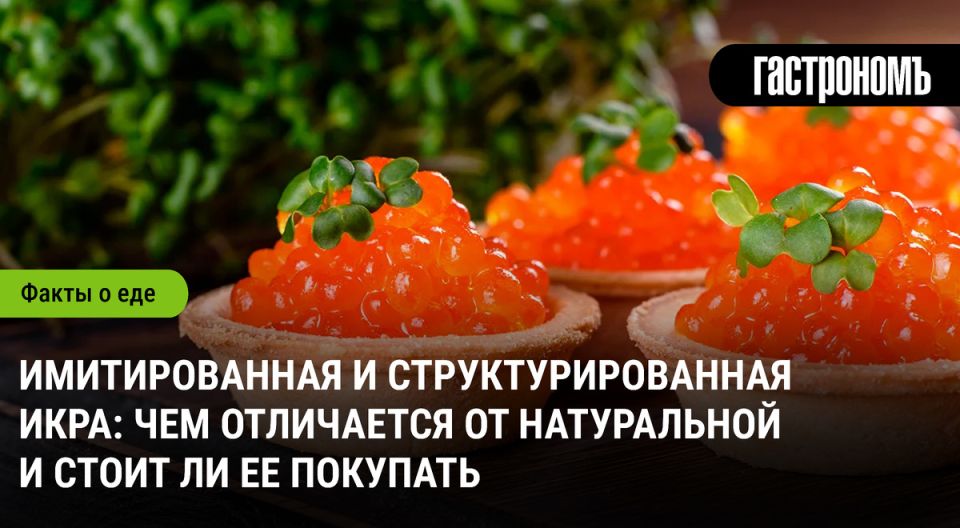 ���� �� ������ ���������: ��� �������� ����������� ��������� �� �������������� ��������?