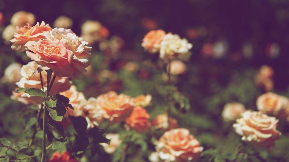 �� ��������� � �� ������: ��� ��� ��������� �������� ���� �� ����