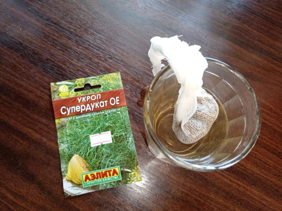 ������� ��������� ������ ������: ��� �������� �������� ����������