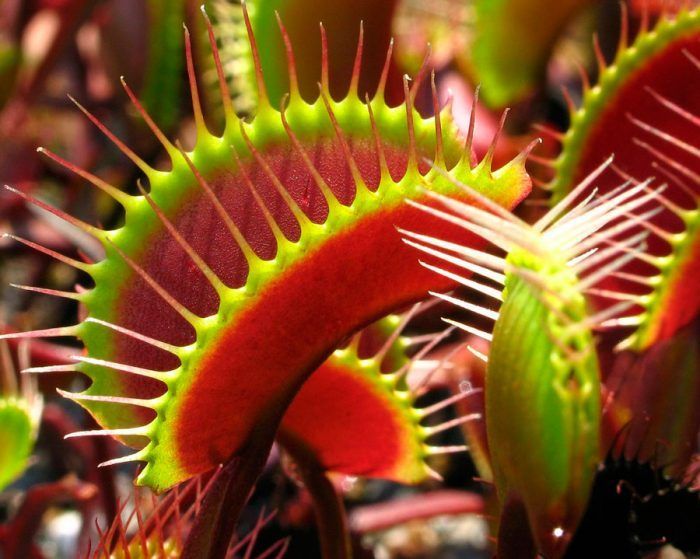 ������ ������ ������ � ����� �� �������������� ����������