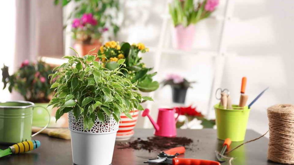 ��� �������� �������� �������� ��������� ��������