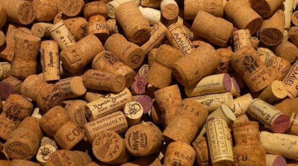 ������ ������ �� ����� �����������: ������������ ����������� ��� ����������