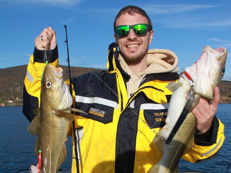 Треска: рыба, изменившая судьбу Норвегии