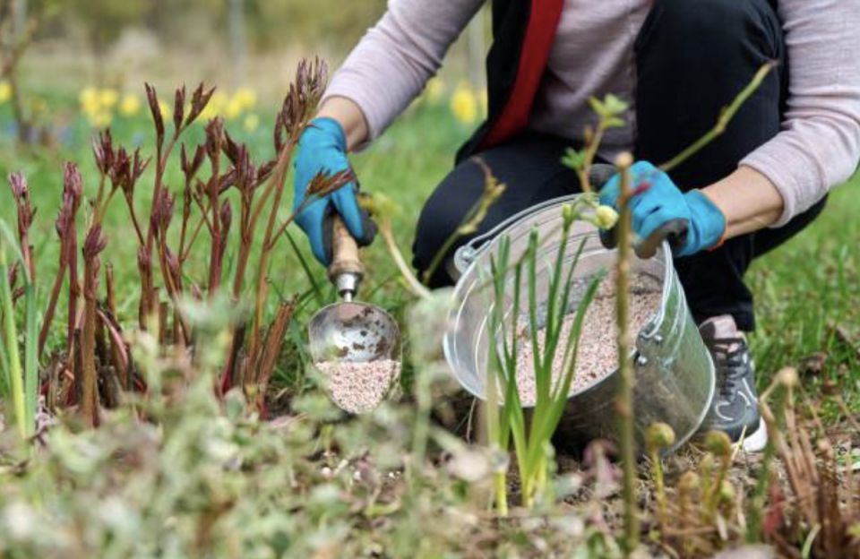 ���� ������� ��������� � ������������ ������ ��� ����