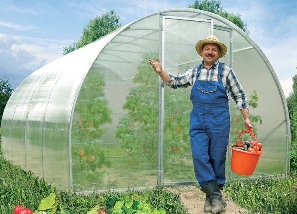 Как ухаживать за садом с минимальными усилиями: полезные советы