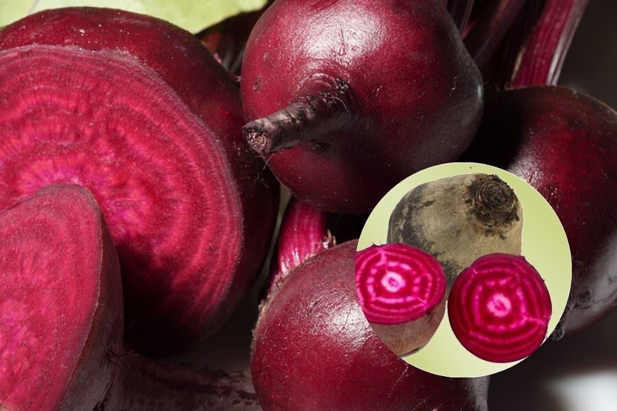 Почему свёкла с белыми прожилками: причины и полезные советы