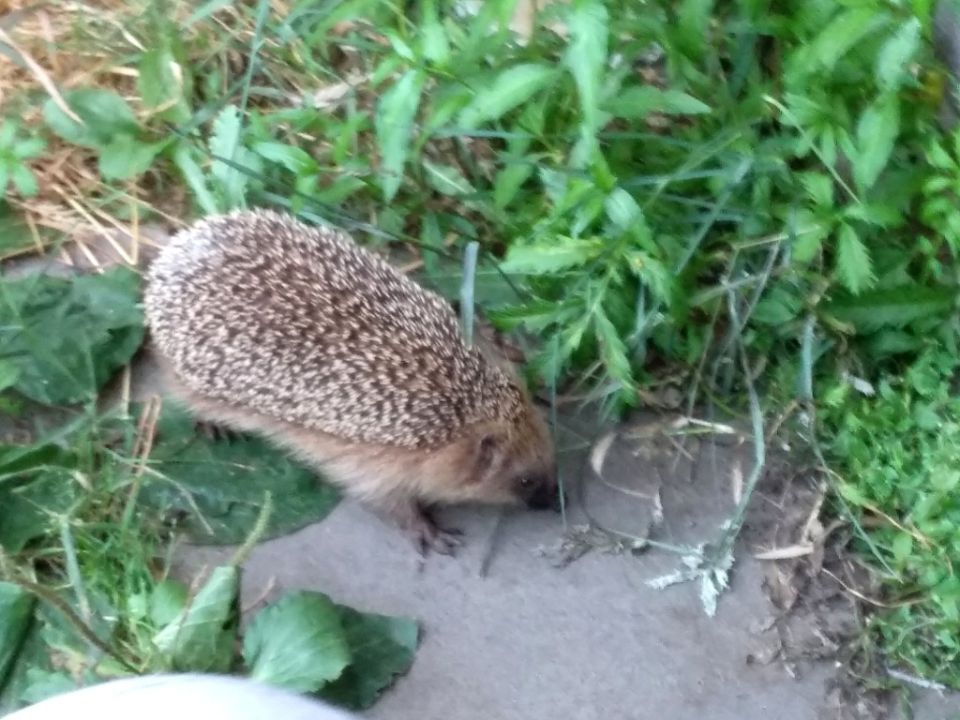 ��� �� ����: ����������� ����� � ������