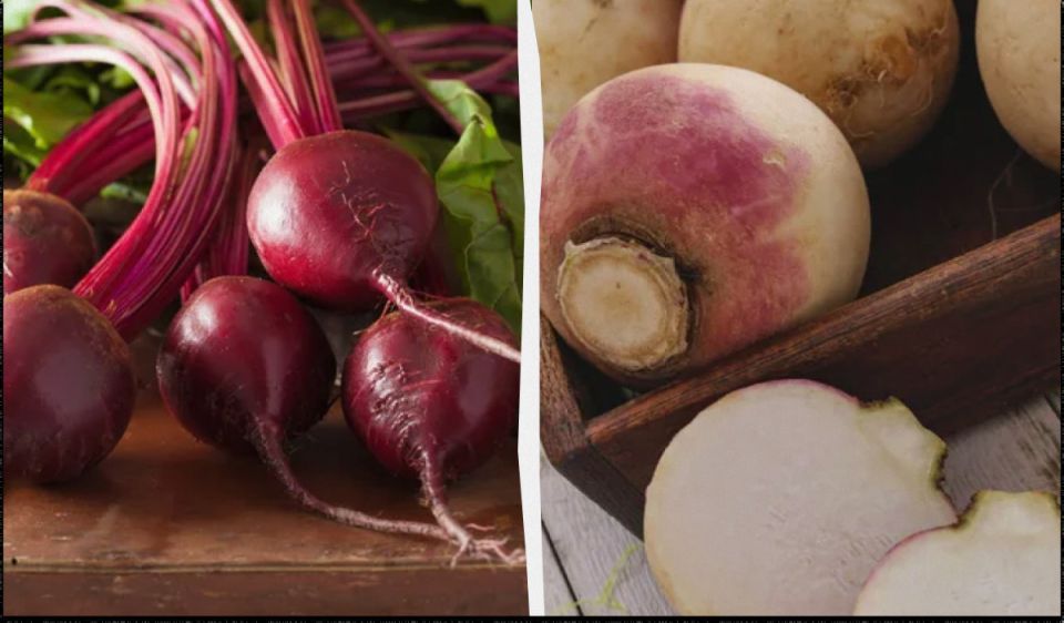 ��� ��������� ������ �� ���������� ������: �������� ������