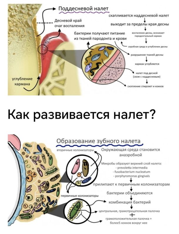 ������ ������ ���� ���������� ��-������� ���� ��� ������ �������?