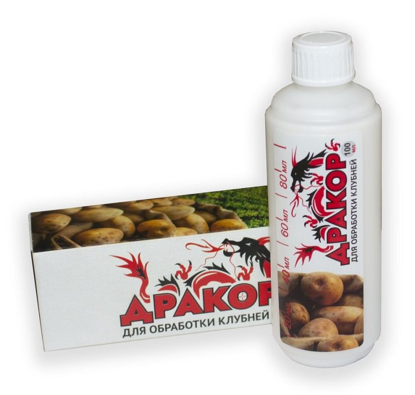 Эффективная защита картофеля от колорадского жука и проволочника