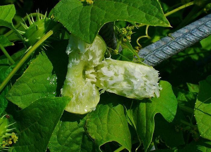 ����������: ��� �������� �������� � ��� ������