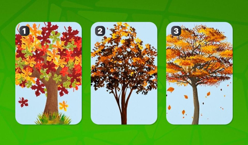 ��� ��� ����� ������ ����� �������� ������� ������� � �����������