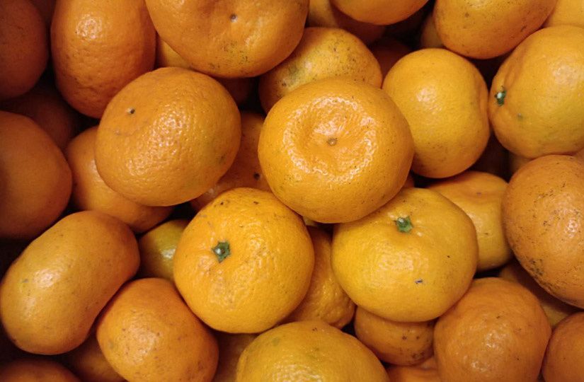 ������ �� ����� ����������� ������ �� ����������: 11 �������� ����