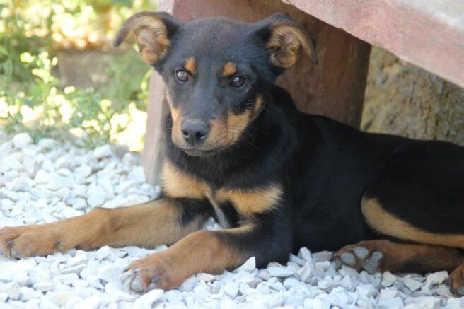 ���������, ������: ����� ������� � ����� ������ �������� ������������ �������������