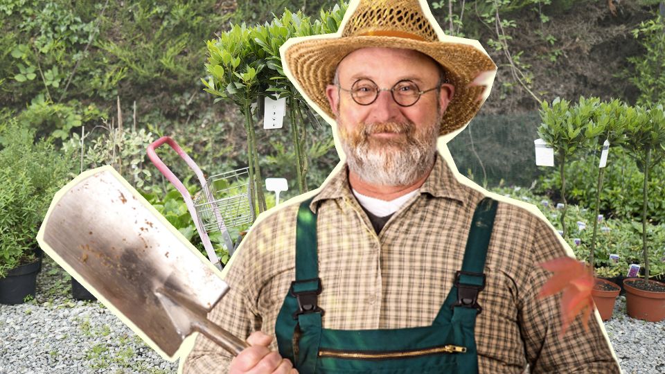 ������� ������� ������� ���������� � ����������: ��� ��� � ���� ����� �������