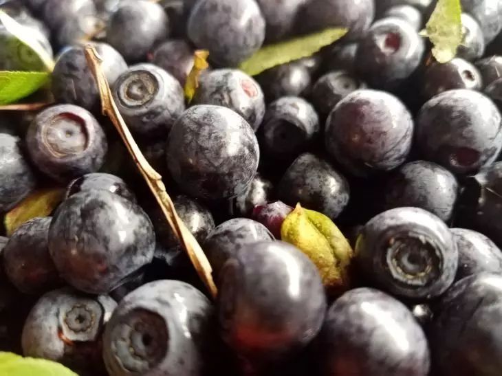 ������� ��� ��������: ��� ���������� ����� �� ���� �������� � �������