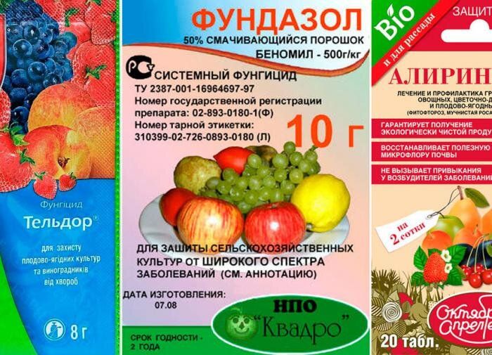 ��������: ��� ������ ���� ���������� ��������?