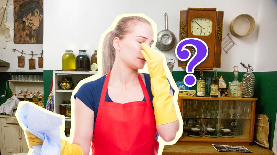 �������� �� �����������: ��� ��� ������� � ������� ������� ������ �������